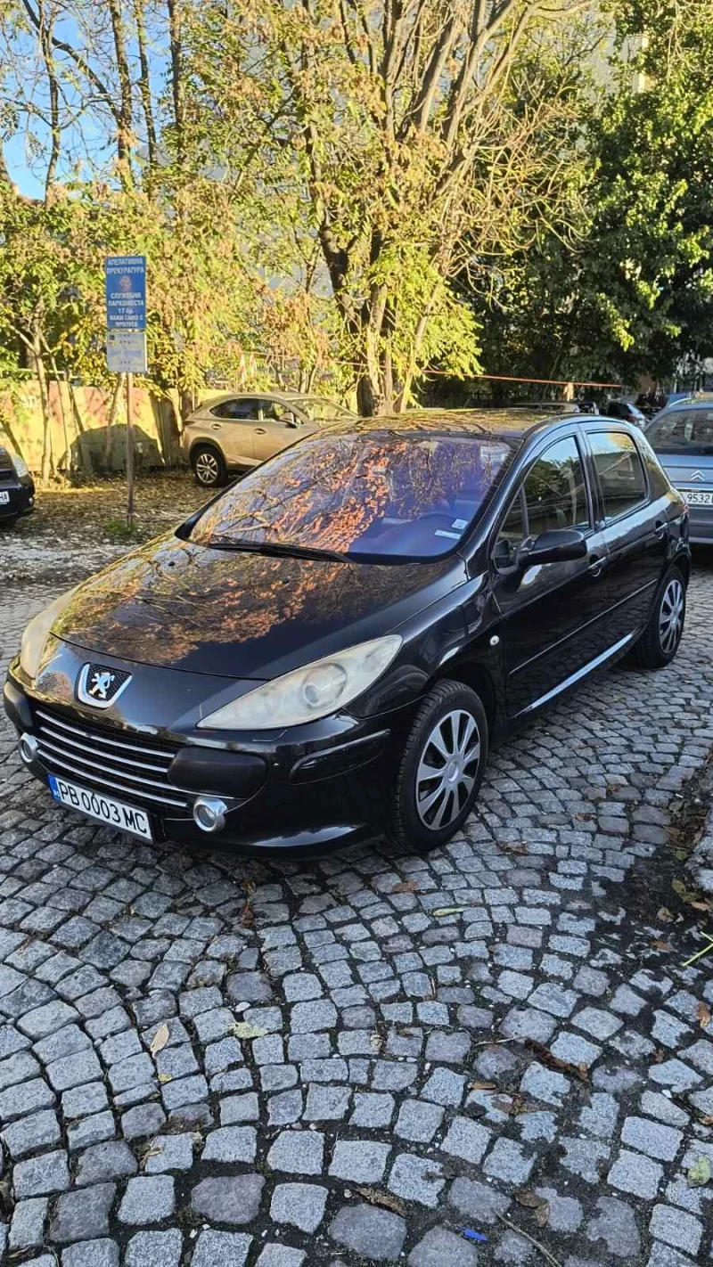 Peugeot 307 HDI, снимка 2 - Автомобили и джипове - 52233208