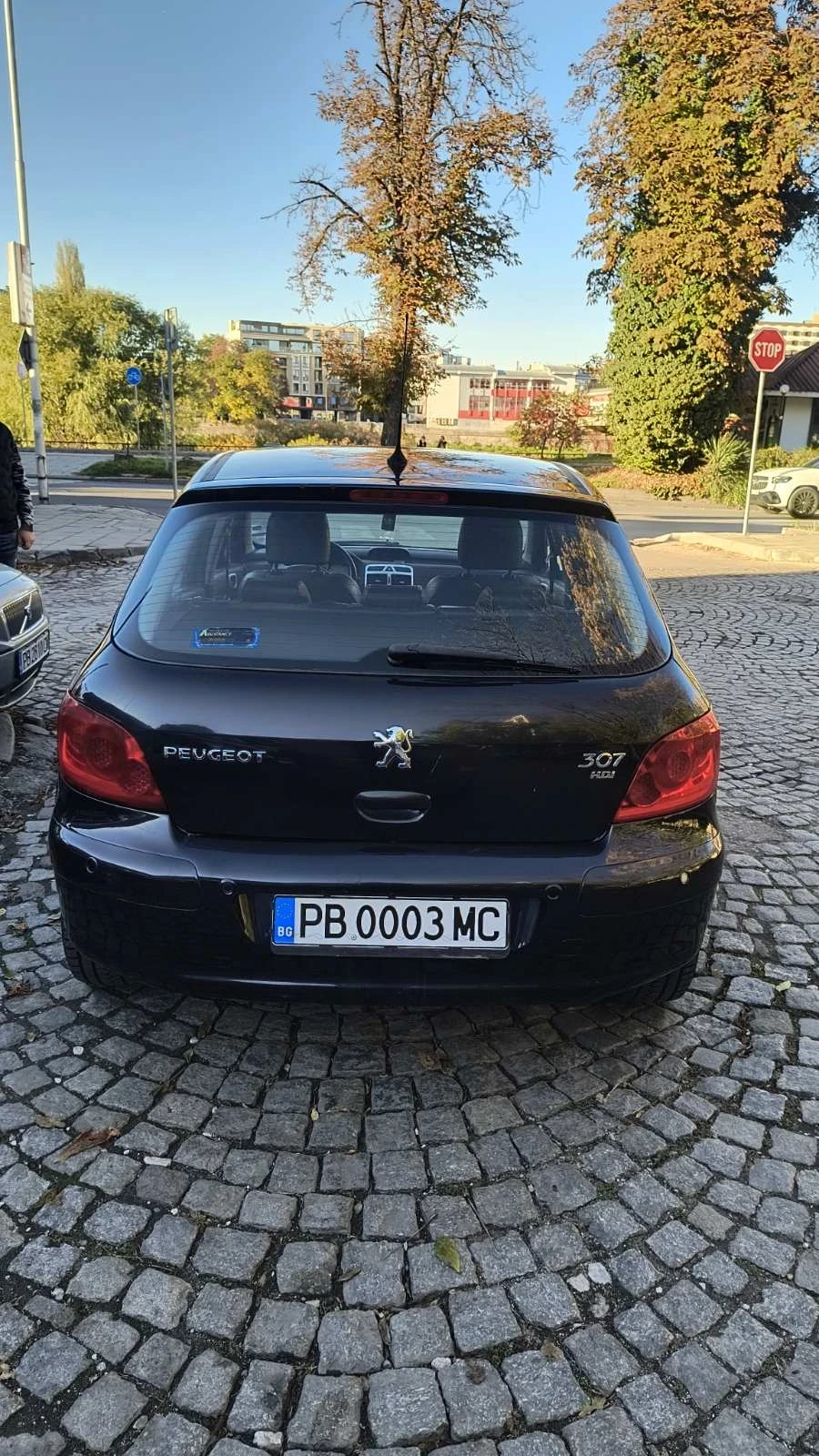 Peugeot 307 HDI - изображение 4