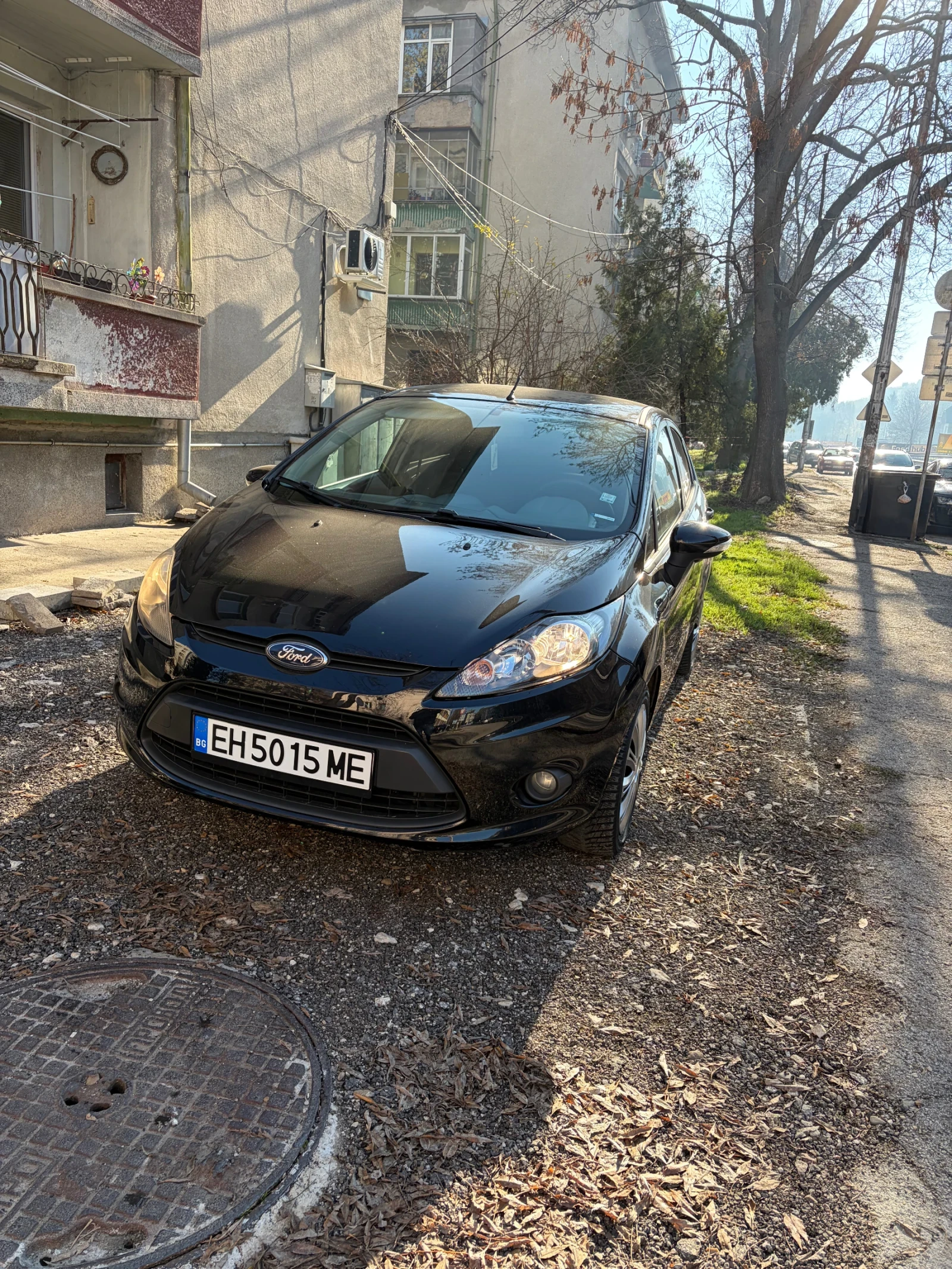 Ford Fiesta 1.25 газ - изображение 2