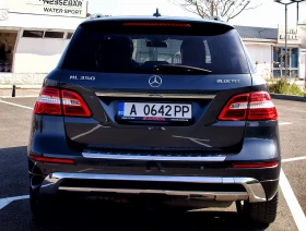 Mercedes-Benz ML 350 AMG, 3xTV, Harman, Panorama | Mobile.bg    6
