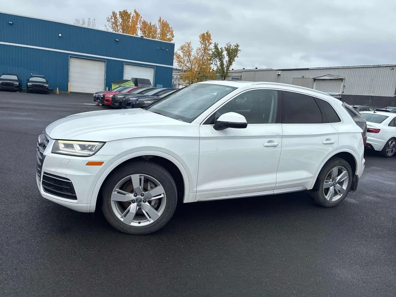 Audi Q5 / FULL DIGITAL / ��������� / 360 / ���������� | Mobile.bg � ����������� 2