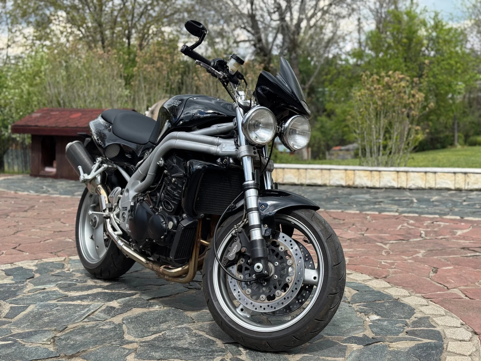 Triumph Speed Triple 955i, снимка 5 - Мотоциклети и мототехника - 56742260