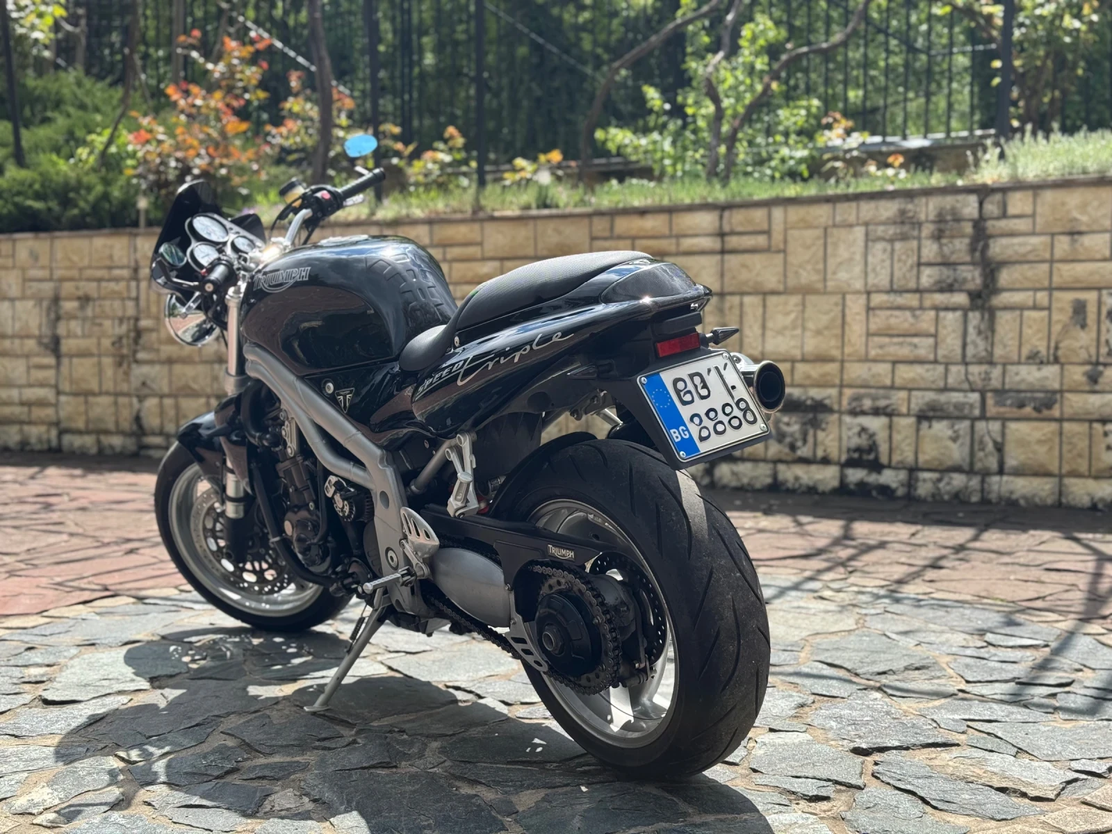 Triumph Speed Triple 955i, снимка 3 - Мотоциклети и мототехника - 56742260
