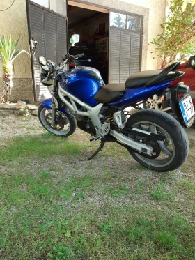    Suzuki SV