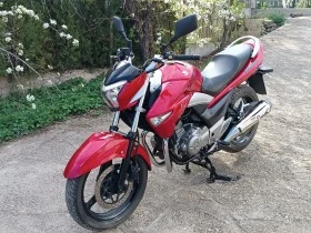 Suzuki Inazuma 250 i | Mobile.bg    17