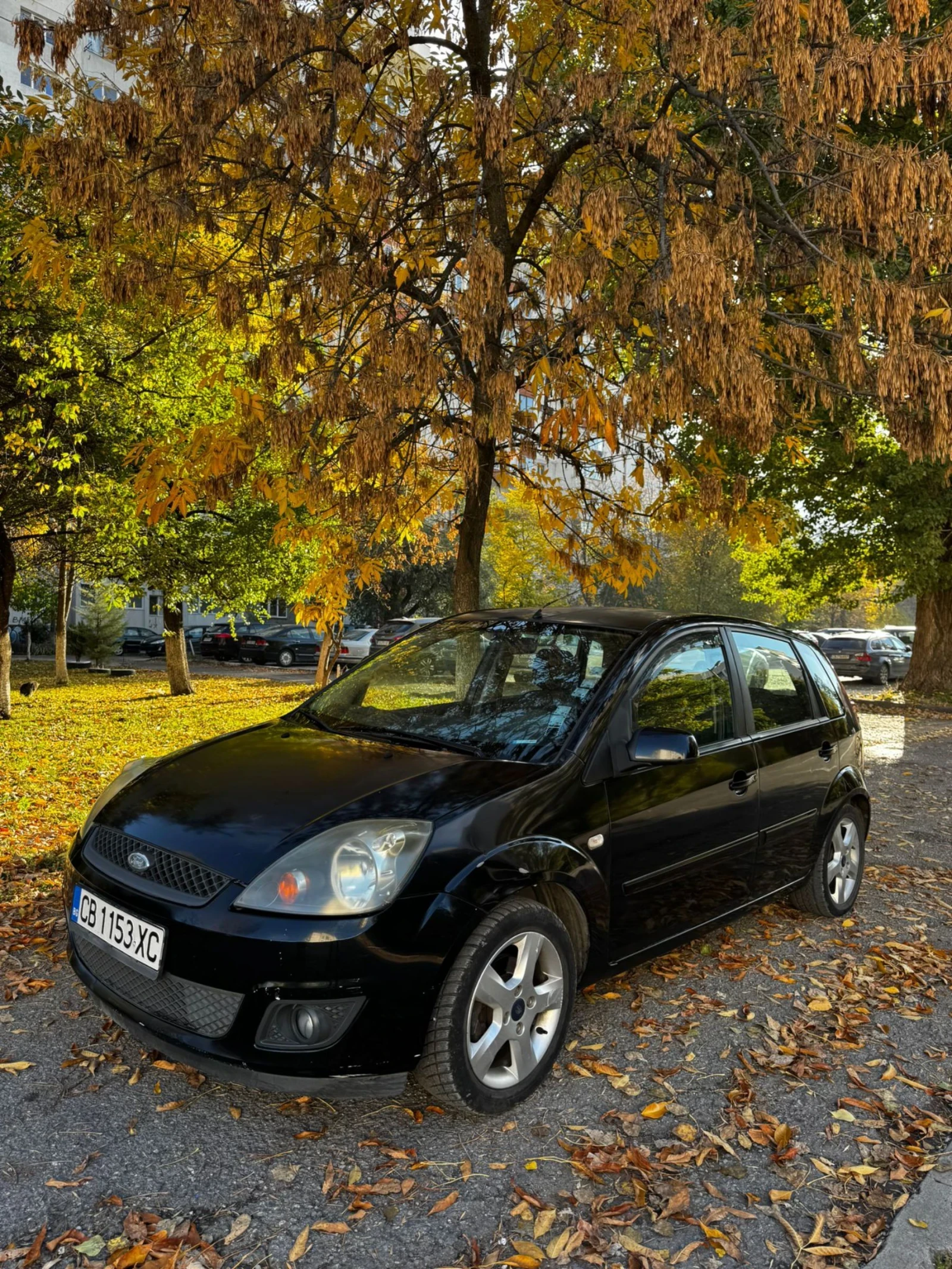 Ford Fiesta 1.4 tdci | Mobile.bg   1