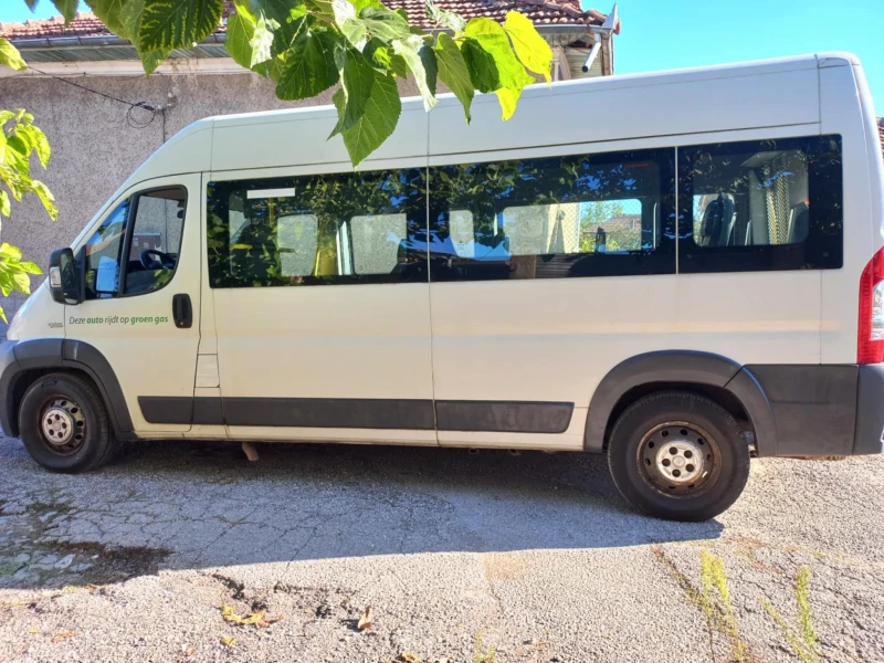 Fiat Ducato, снимка 5 - Бусове и автобуси - 48266060