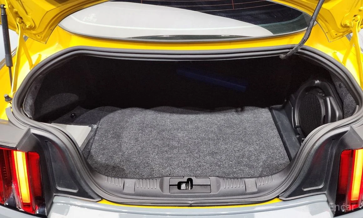 Ford Mustang 5.0 GT* КОЖА* NAVI* ПОДГРЕВ* ОБДУХВАНЕ* MEMORY* , снимка 16 - Автомобили и джипове - 53999578