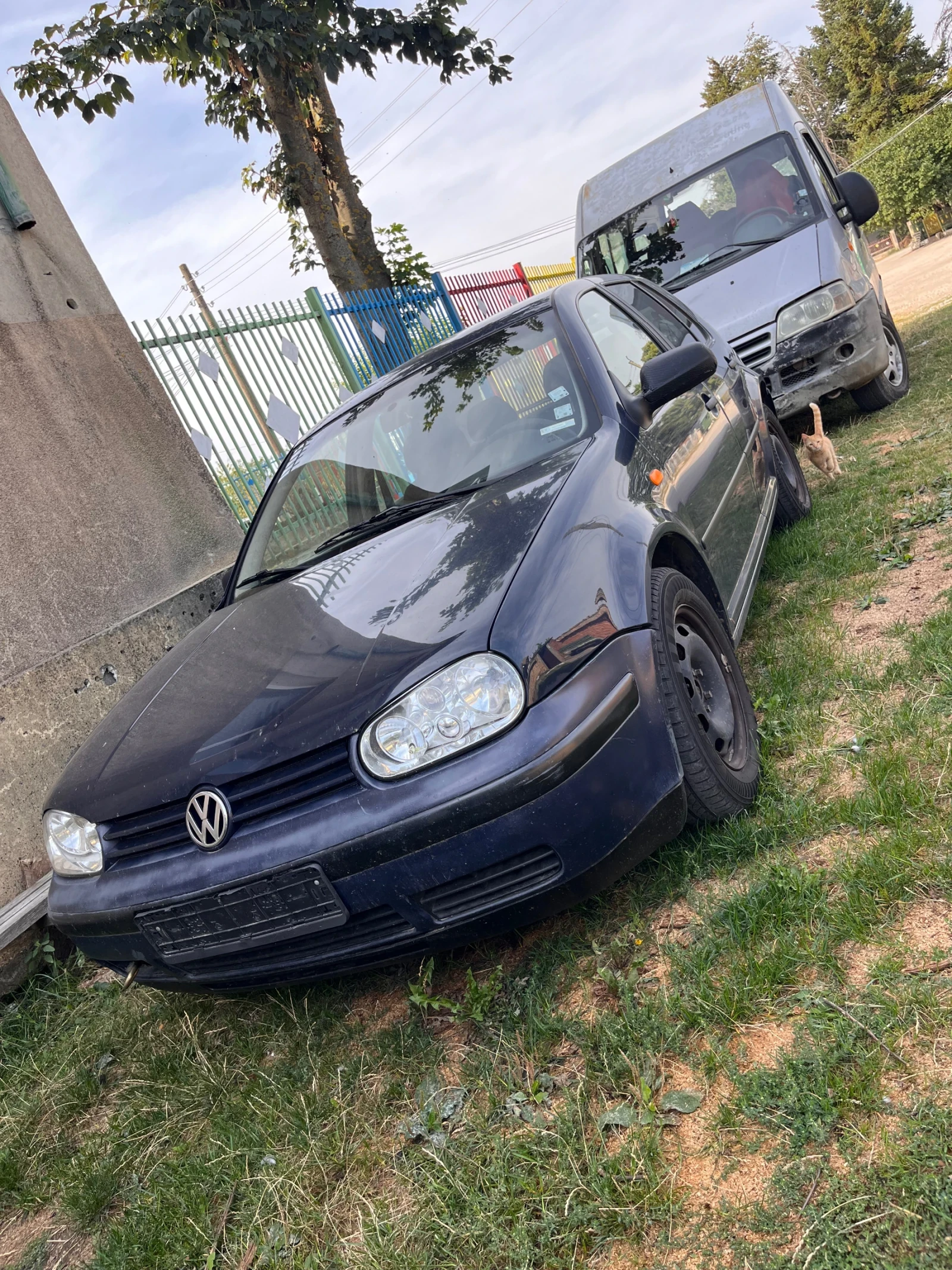 VW Golf