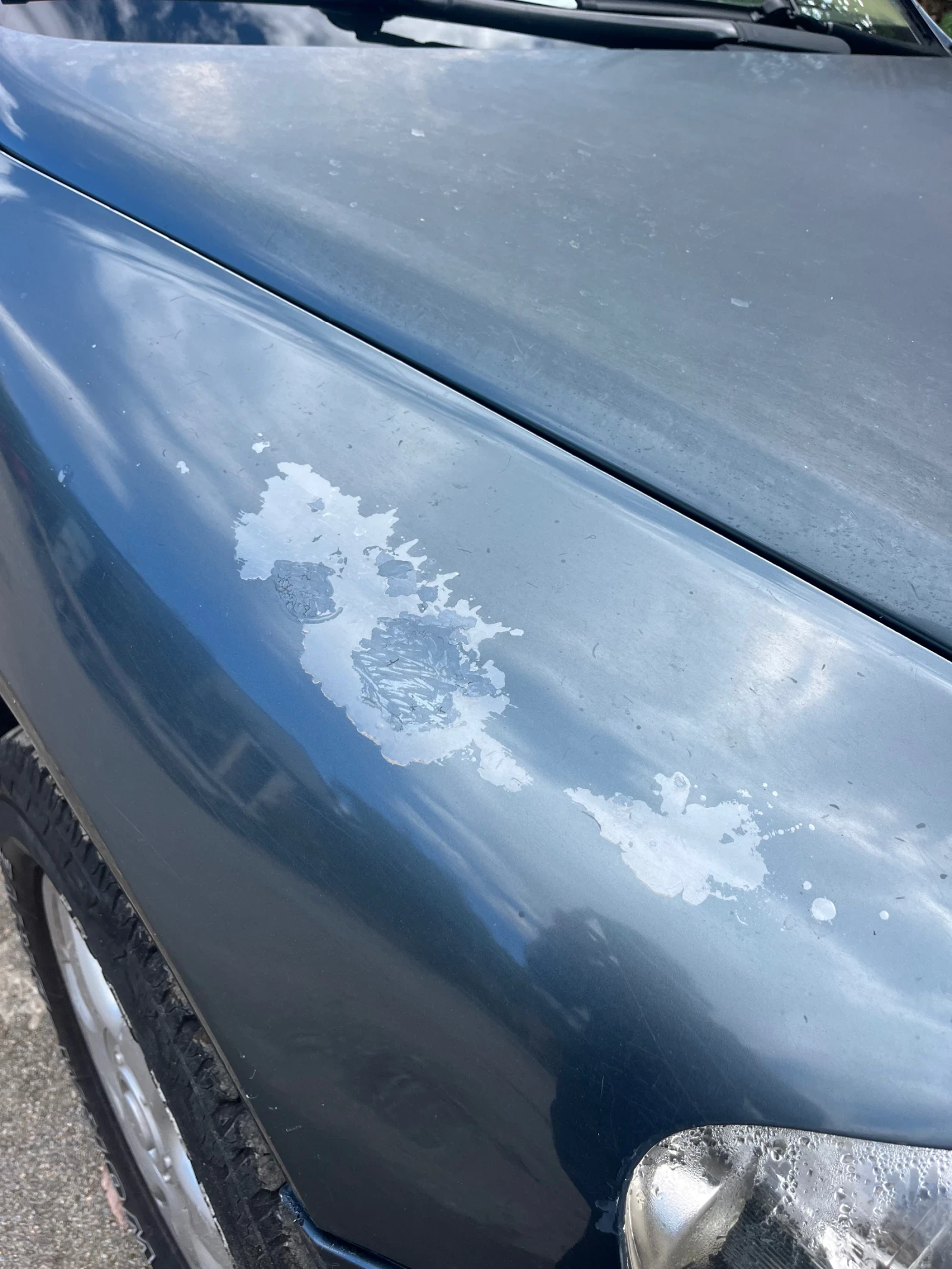 VW Touareg | Mobile.bg   6