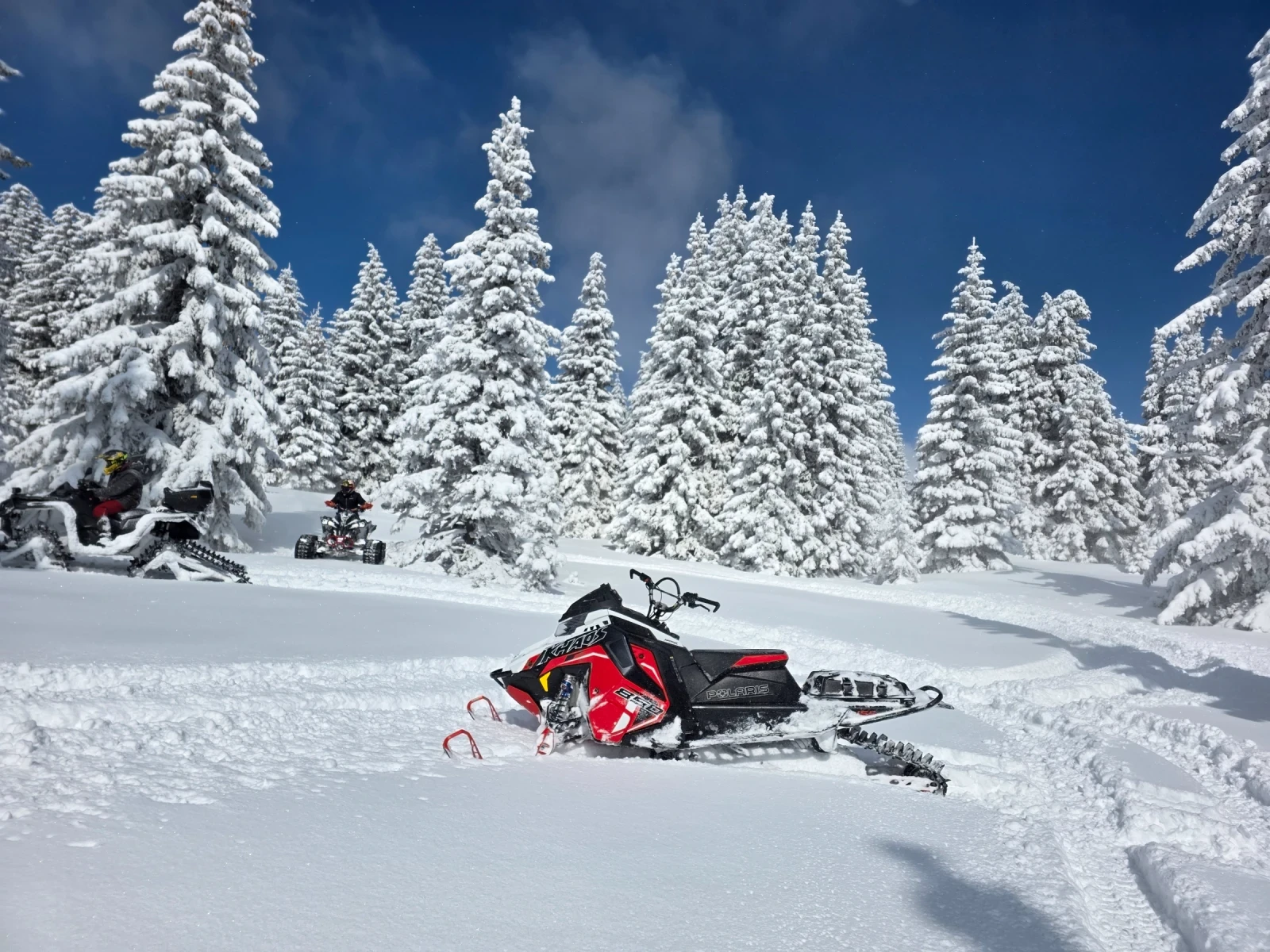 Polaris Snowmobile Khaos 155 | Mobile.bg � ����������� 5