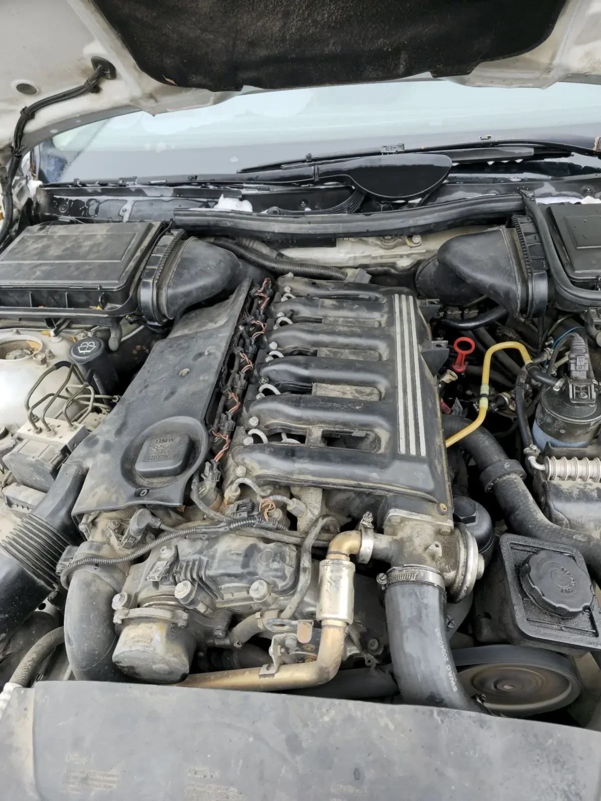 BMW 525 E39 525d - изображение 7