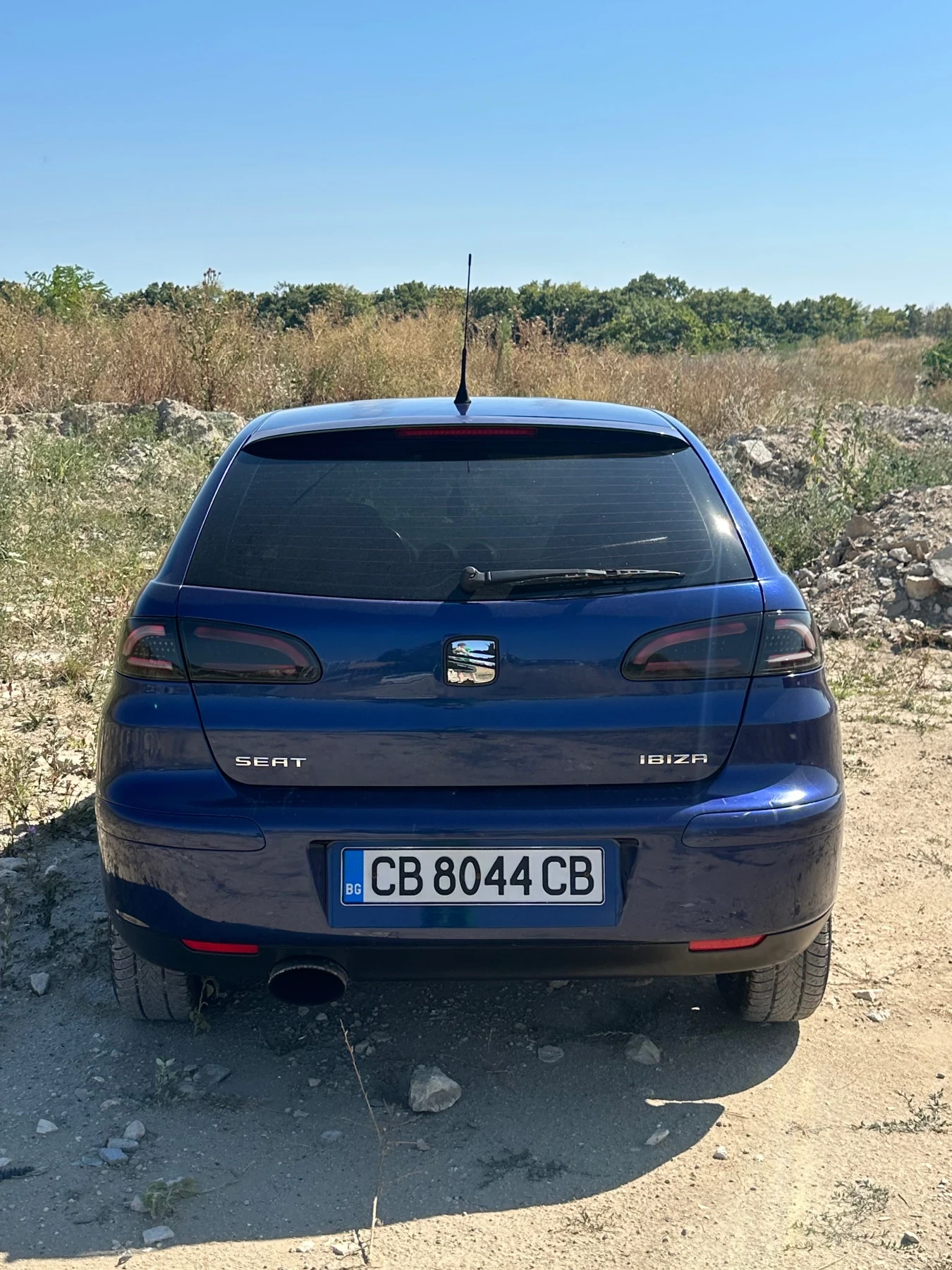 Seat Ibiza 1.9 TDI 131+ + , снимка 4 - Автомобили и джипове - 55616050