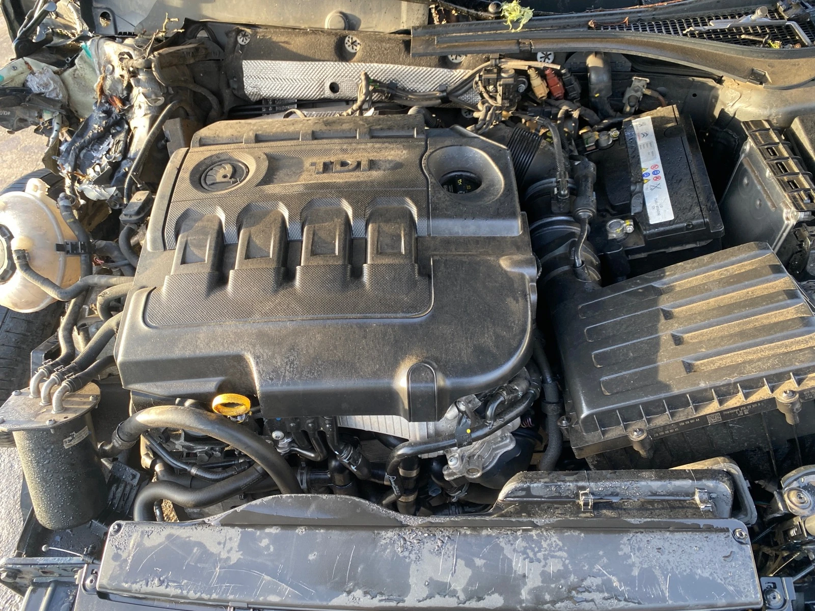 Skoda Superb 2.0 TDI DSG | Mobile.bg   14