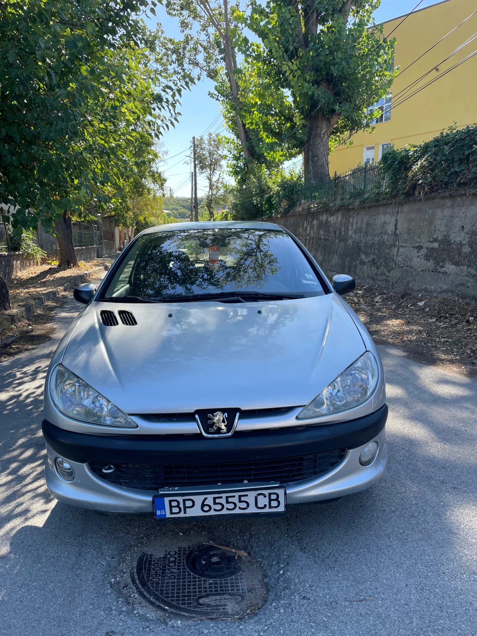 Peugeot 206 Face - изображение 3