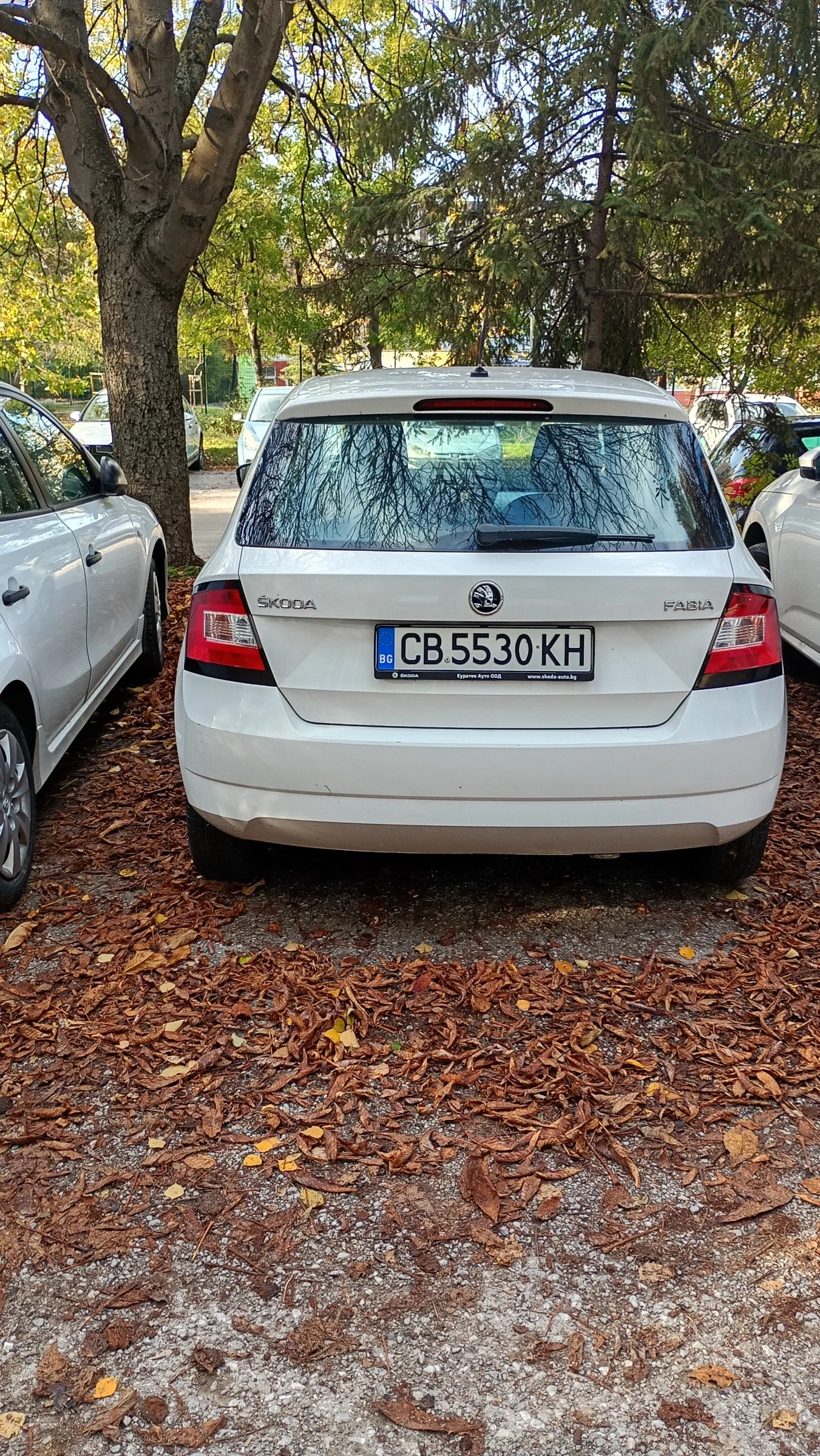 Skoda Fabia | Mobile.bg � ����������� 3