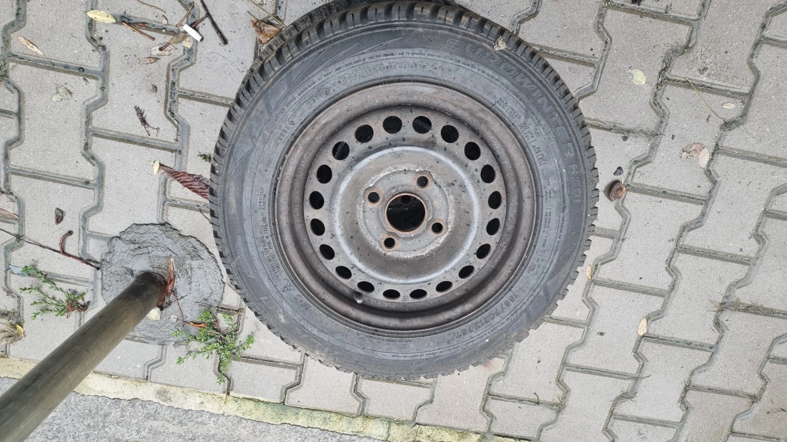 ���� � ������ 155/70R13 | Mobile.bg � ����������� 2