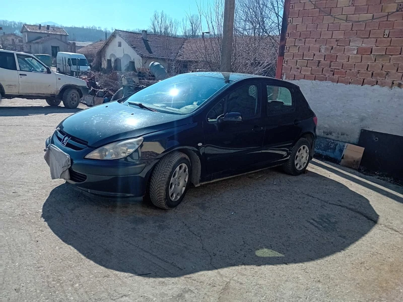 Peugeot 307, снимка 12 - Автомобили и джипове - 49370287