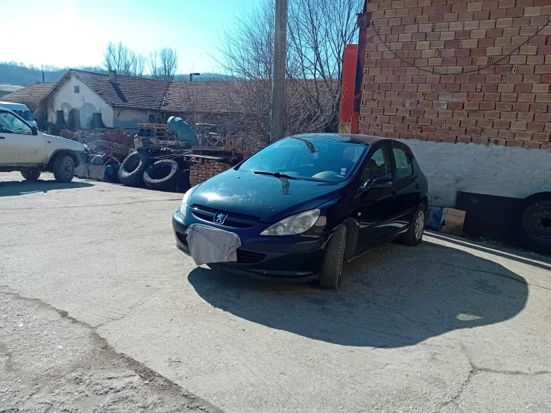 Peugeot 307, снимка 10 - Автомобили и джипове - 49370287