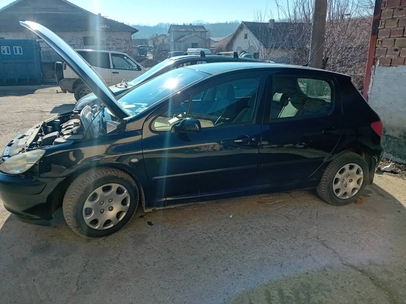 Peugeot 307, снимка 2 - Автомобили и джипове - 49370287