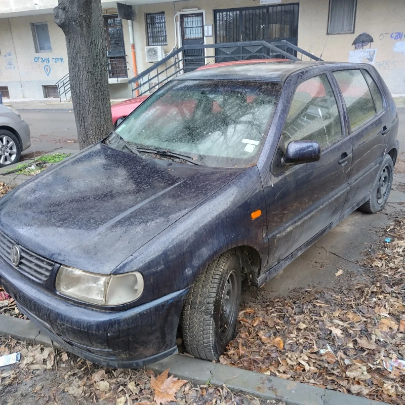 VW Polo