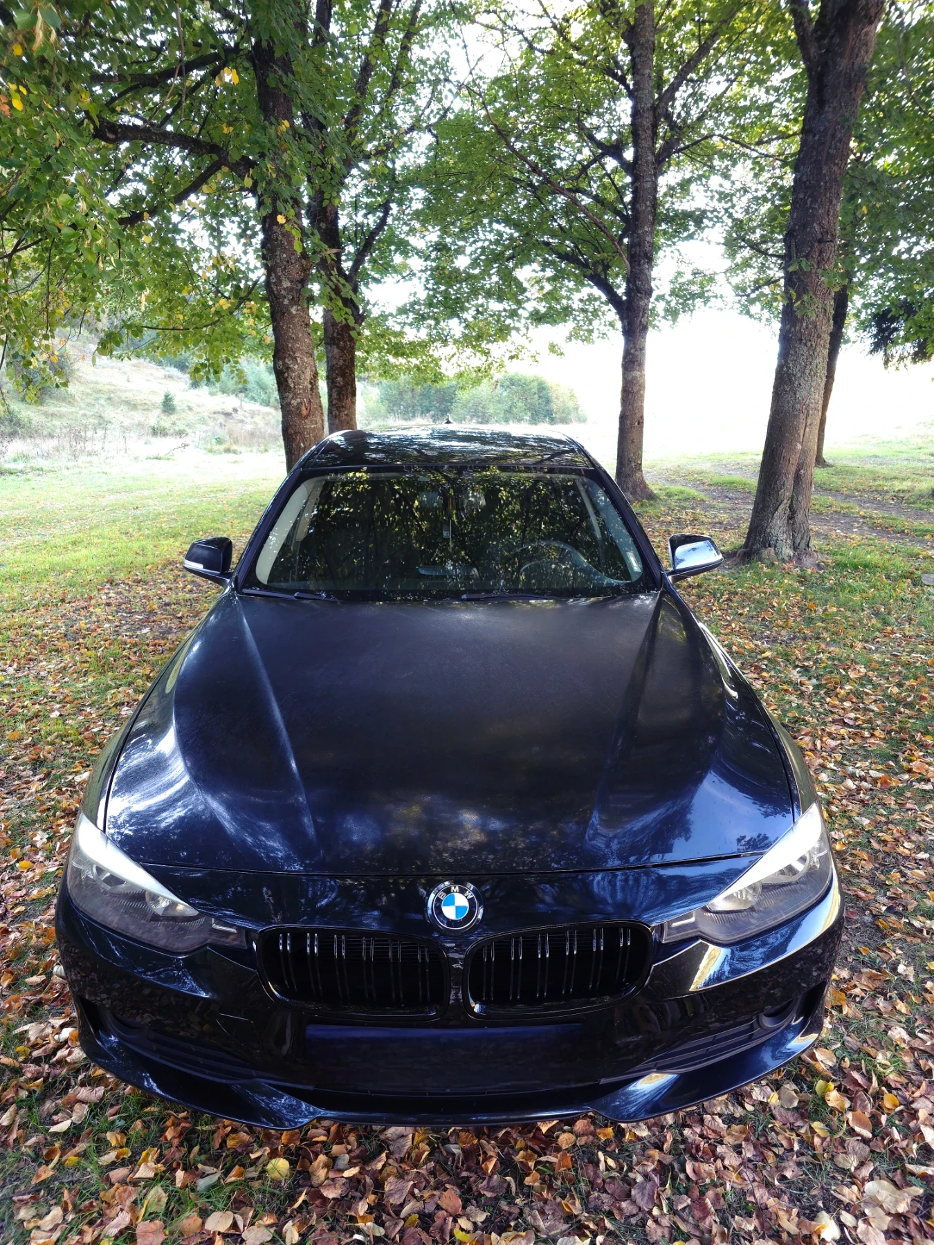 BMW 318 318D - изображение 3