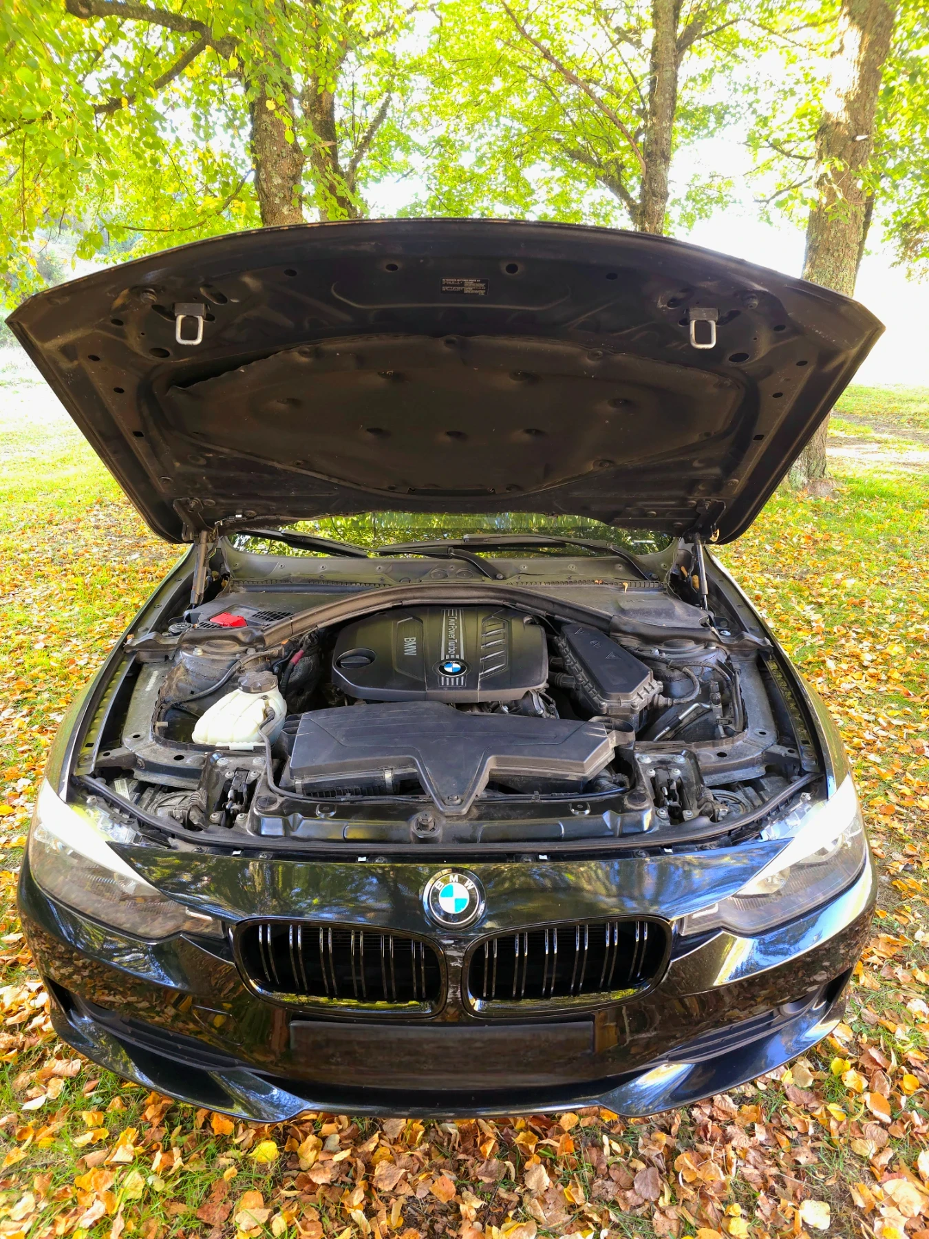 BMW 318 318D - изображение 9