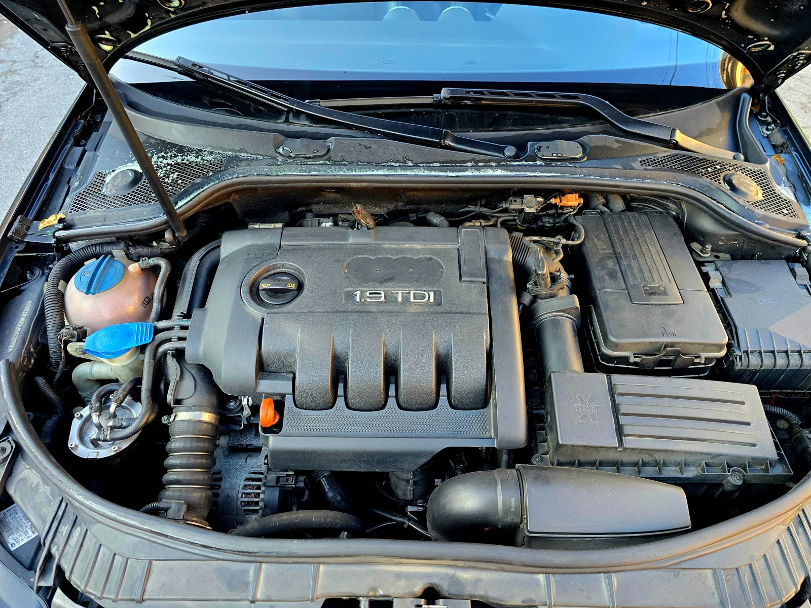 Audi A3 1.9TDI FACELIFT S-LINE SPORTPAKET PLUS | Mobile.bg   17