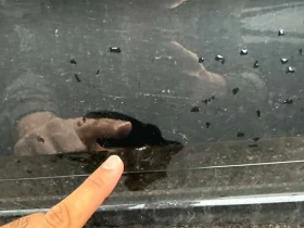 Audi SQ5 Sportback Progressiv  CARFAX | Auto.bg — изображение 12