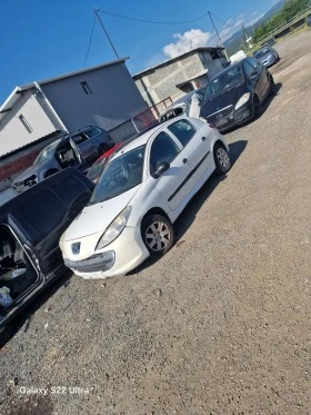 Peugeot 206 206+  1