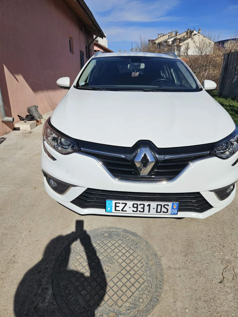 Renault Megane, снимка 1 - Автомобили и джипове - 49392643