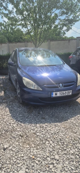  Peugeot 307