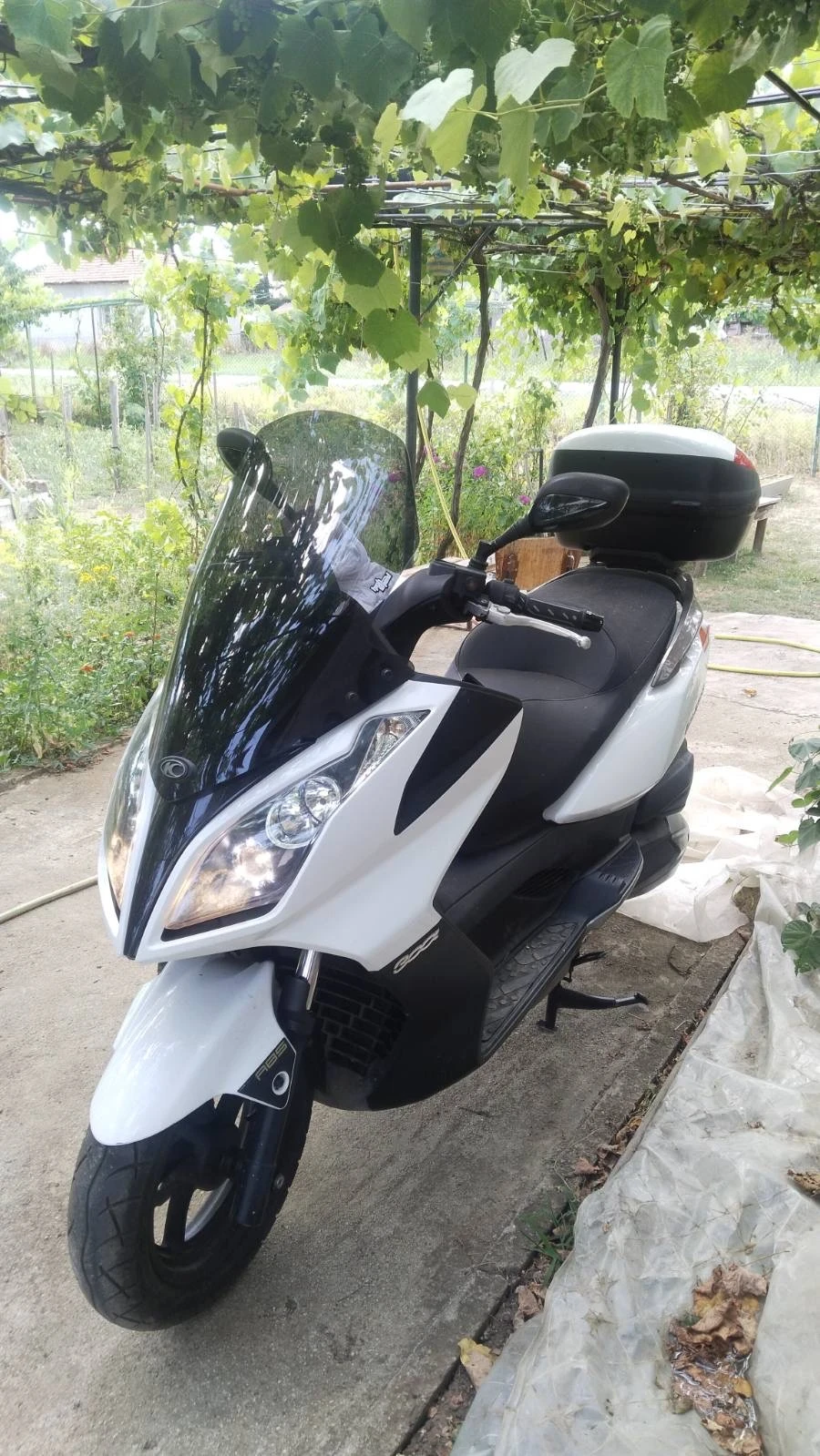 Kymco 250  - изображение 3