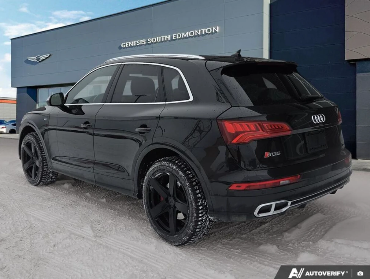 Audi SQ5 2018 Audi SQ5 Technik - изображение 3