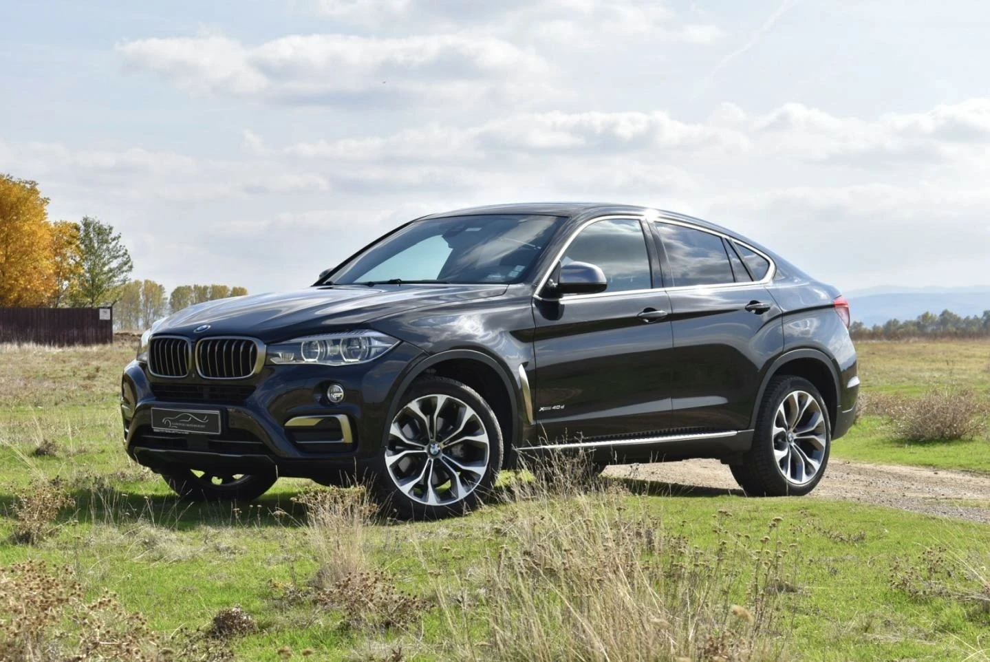 BMW X6 4.0D Xdrive - изображение 2