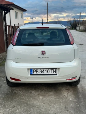 Fiat Punto - 3000 € / 5867.49 лв. - 53261163 5