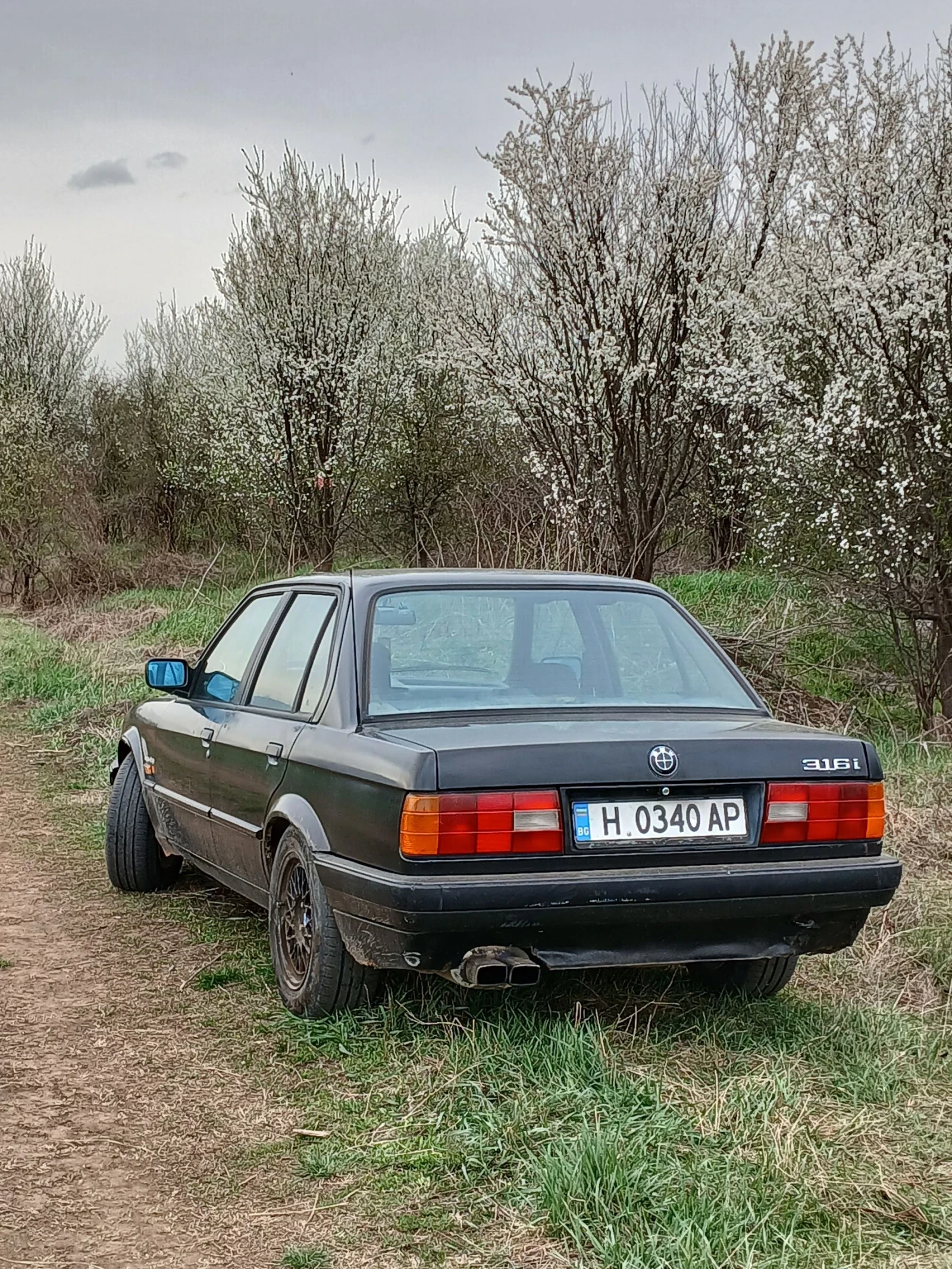 BMW 316  - изображение 3