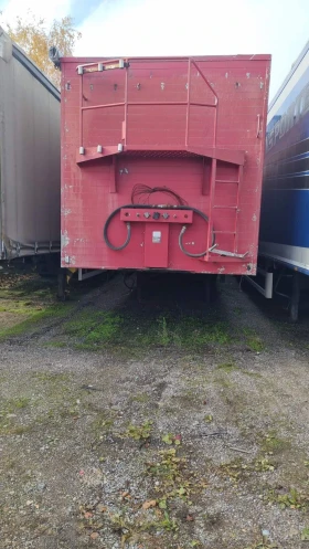  Benalu  | Mobile.bg    7