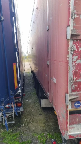  Benalu  | Mobile.bg    3