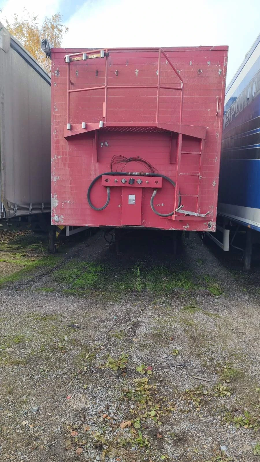  Benalu  | Mobile.bg   7