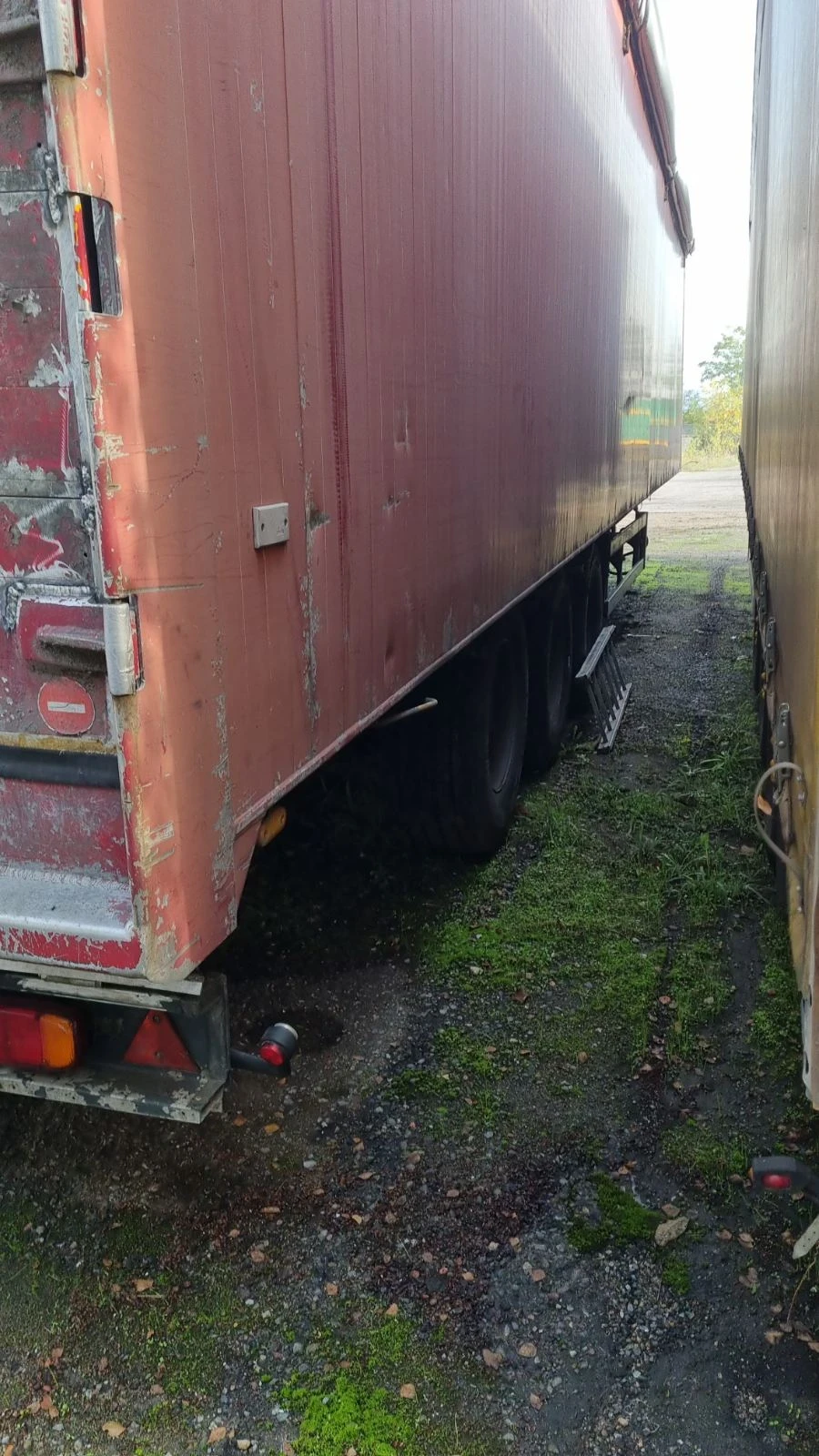  Benalu  | Mobile.bg   4