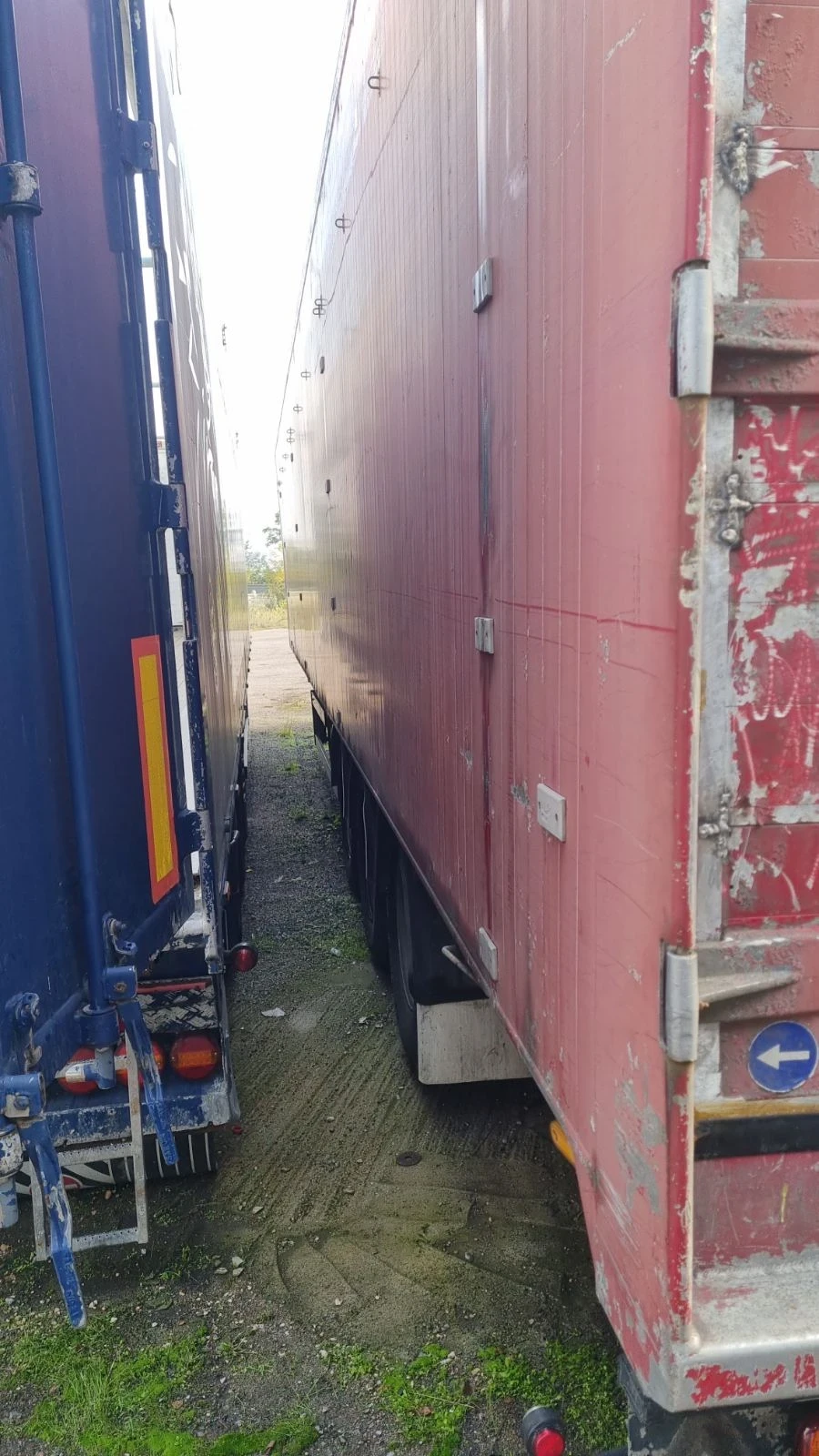  Benalu  | Mobile.bg   3