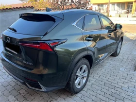 Lexus NX 300h AWD  /KYUSHU EDITION/, снимка 5