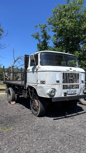 Ifa W 