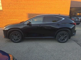 Lexus NX * 250 * ДВА КЛЮЧА* БЕЗ ЗАБЕЛЕЖКИ | Auto.bg — изображение 2