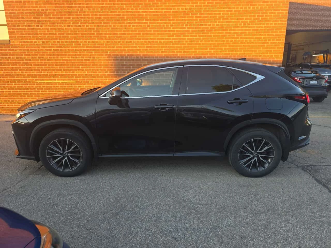 Lexus NX * 250 * ДВА КЛЮЧА* БЕЗ ЗАБЕЛЕЖКИ, снимка 2 - Автомобили и джипове - 55566181