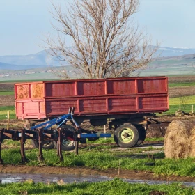 Друг вид Български  - изображение 1