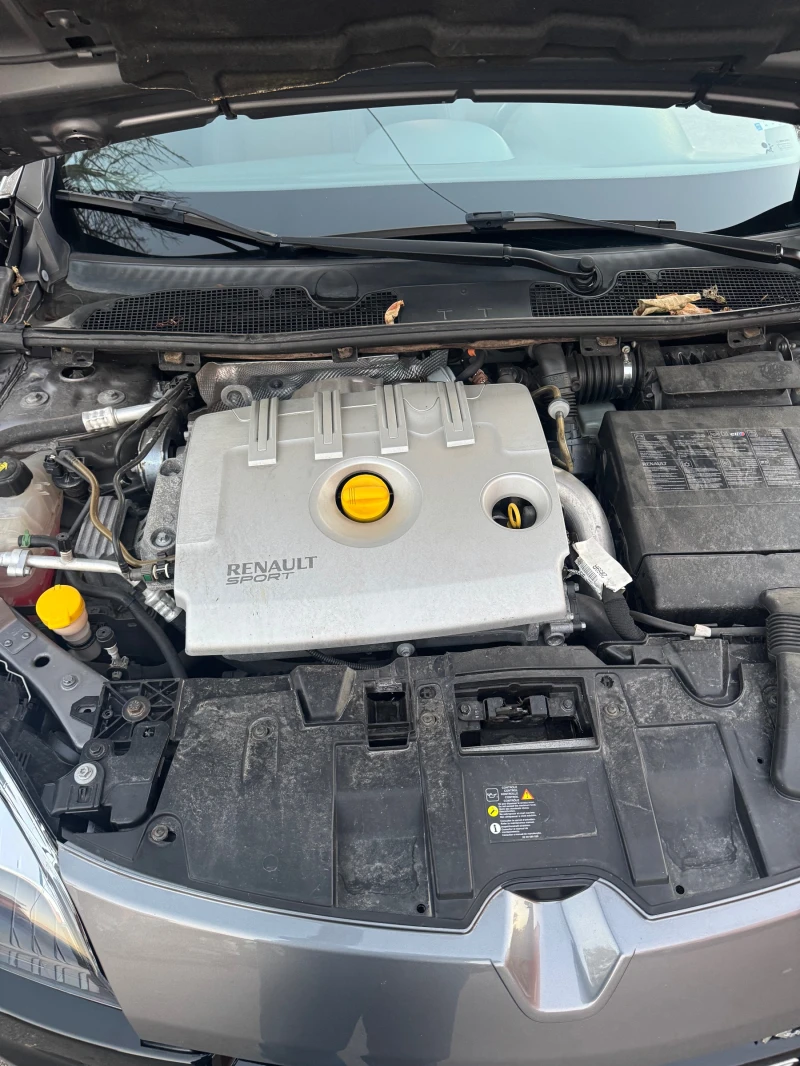 Renault Megane MEGAN RS, снимка 12 - Автомобили и джипове - 52407606