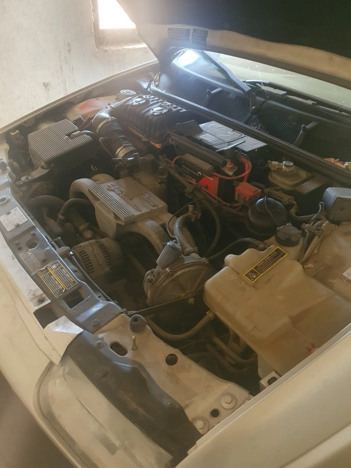 Alfa Romeo 146 1.3 - изображение 7
