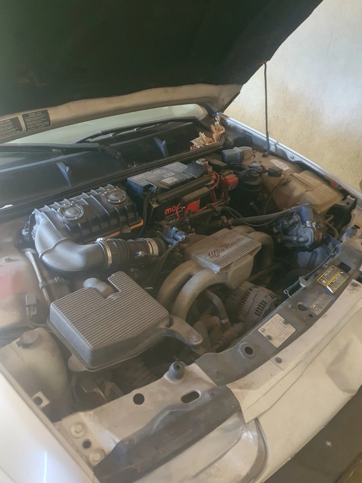 Alfa Romeo 146 1.3 - изображение 2